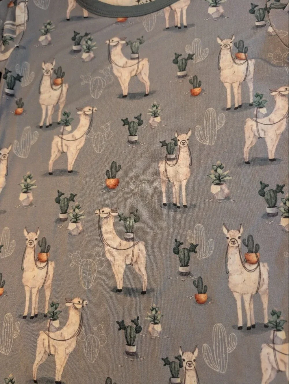 Big Dreams Little Jammies Kids Blue Llama Print Bamboo PJ Set/ Nwt